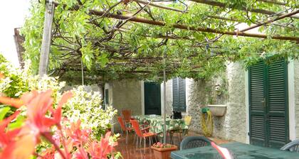 all apartment near Pisa