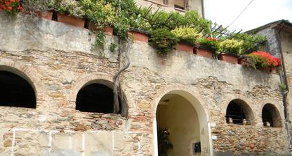 Alle Wohnung in der Nähe von Pisa