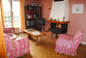 Télévision, cheminée, livres, chaîne hi-fi