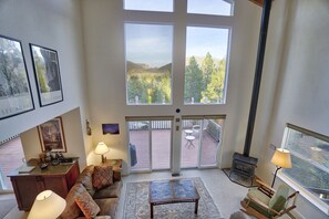 TV, fireplace, video games, DVD player