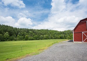 Property grounds - 36 Private Acres on the New River w/Hot Tub (Boone)