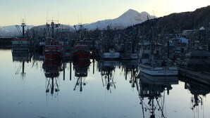 A marina with boats docked, calm water, and a mountain in the background.