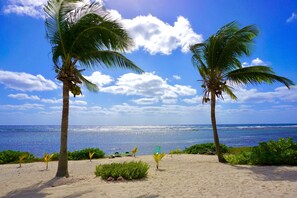 Ein Strand mit Palmen und freiem Blick auf den Ozean.