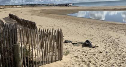 House 200m beach 3 bedrooms special price depending on period.