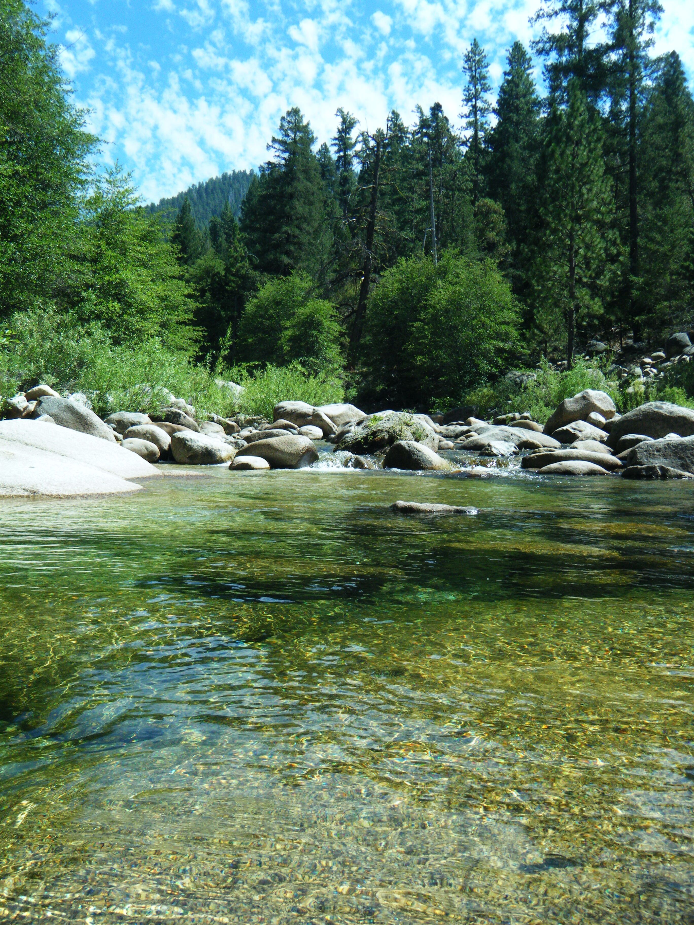 A clear river with rocks and trees in the background.