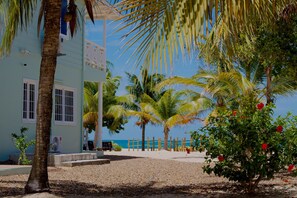 Property grounds - Large Family Suite: Beach Access & 2 Bedrooms (Placencia)
