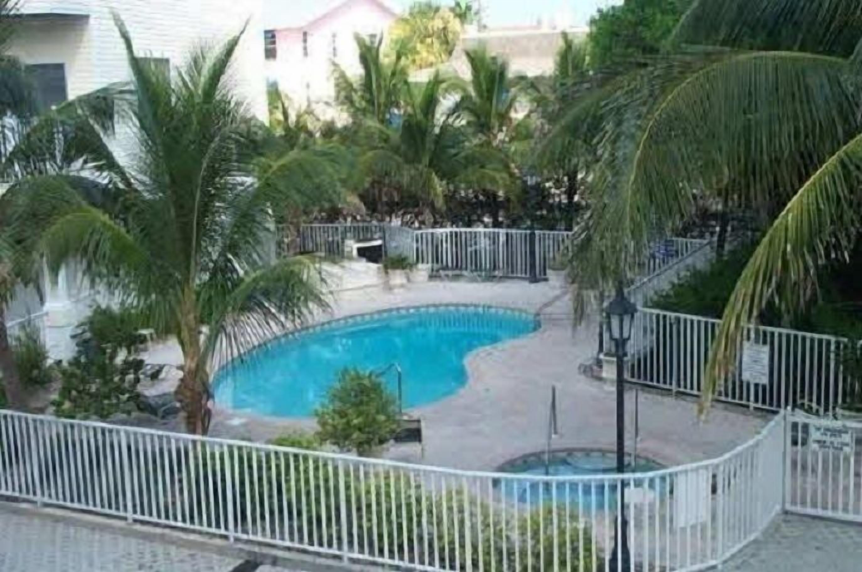 Une piscine entourée de palmiers et délimitée par une clôture blanche.