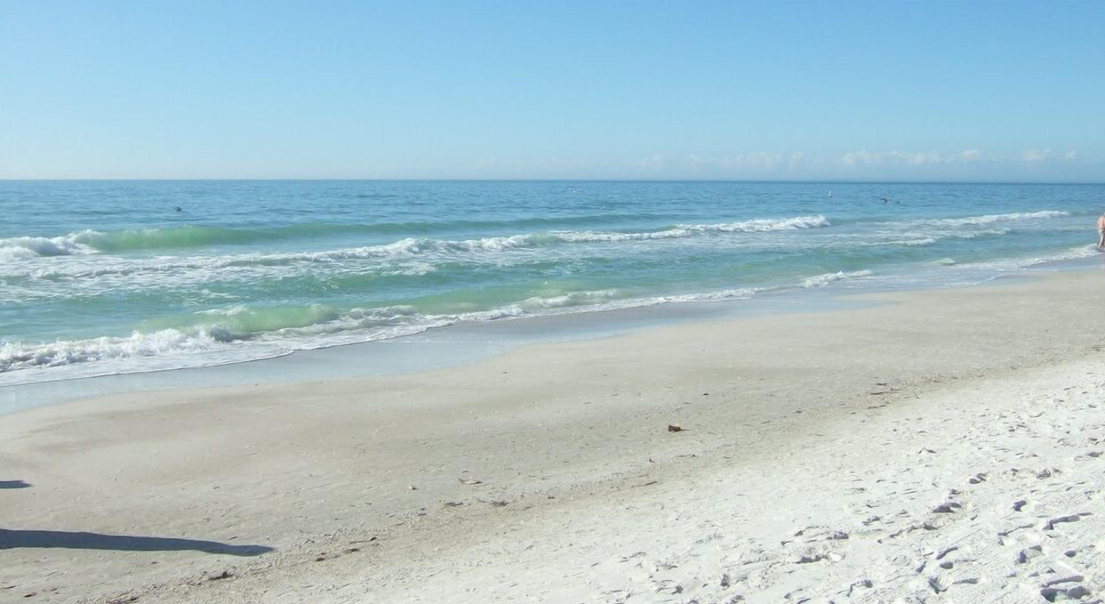 Accommodatie ligt op het strand, ligstoelen, strandlakens