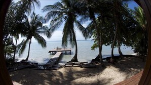 A beach with palm trees, a wooden deck, and lounge chairs. - The Ultimate Beach House (Casa Sol Y La Luna) (Bocas Del Toro)