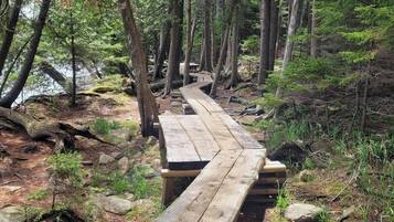A wooden boardwalk through a forested area with trees and a body of water in the background.