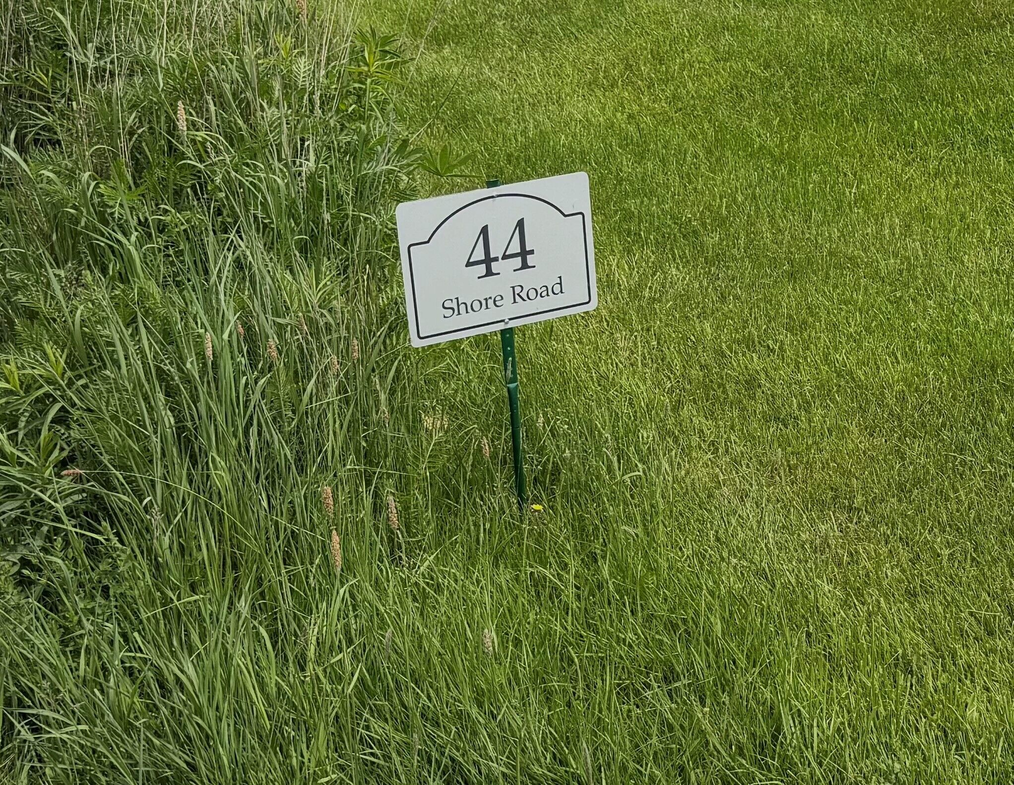 A road sign with the number 44 and the text 'Shore Road' in a grassy area.