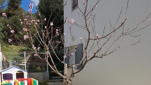 A small tree with pink blossoms in a well-maintained grassy area. - HOUSE WITH SWIMMING POOL, 4km from the sea, sleeps 8 (La Seyne-Sur-Mer)