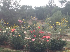 Stroll through the beautifully maintained garden, featuring a variety of vibrant flowers, including roses and sunflowers.