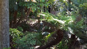 Un jardín exuberante con diversas plantas y un pequeño estanque.