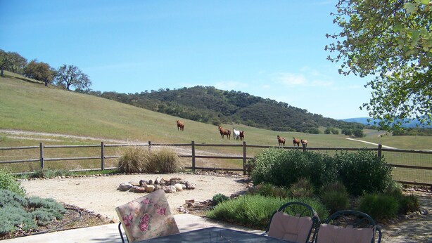 A patio with a table and chairs, a fence, and a view of horses in a field. - Lupine Ranch - Wine Country Guest House (Templeton)