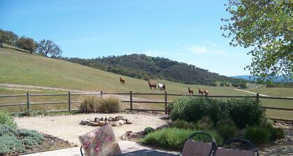 Lupiini Ranch - Wine Country Guest House