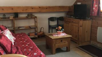 TV, DVD player, books