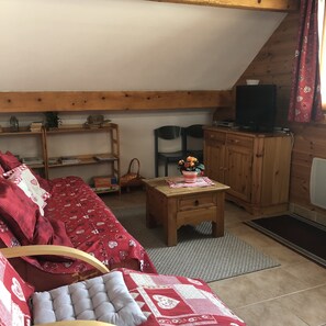 TV, DVD player, books