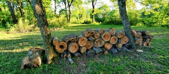 Secluded Getaway ! ! - Eagle Creek Cottage - Pet friendly!