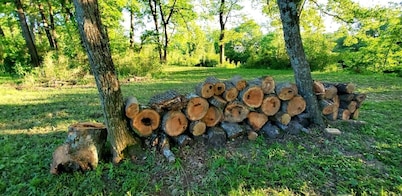 Secluded Getaway ! ! - Eagle Creek Cottage -  Pet friendly!