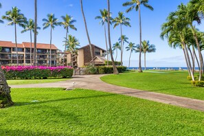 Property grounds - Papakea Resorts BEST Location - Water views, steps to ocean, BBQ & Pool!   (Lahaina)