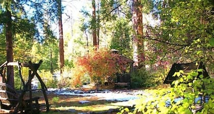 Paras sijainti Creekillä! Klassinen viehättävä mökki kylässä alk. 156 dollaria / nt!