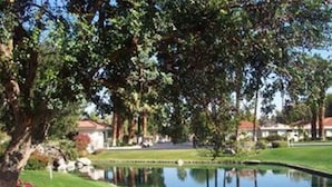 Un paysage paisible avec un étang, une végétation luxuriante et une rangée de maisons en arrière-plan.