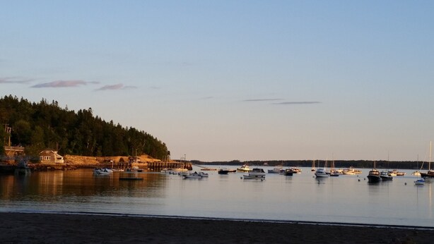 A calm harbor with boats docked, a wooden pier, and a forested hillside.