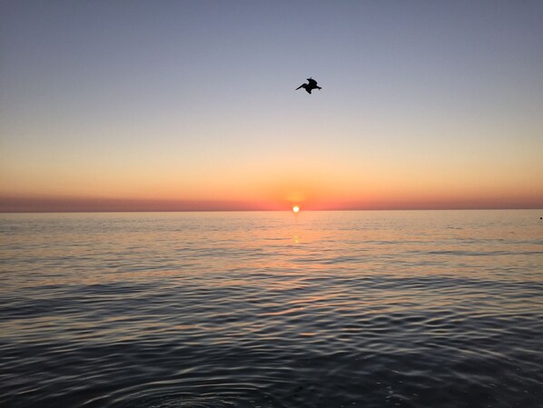 A sunset over a calm sea with a bird flying in the sky.