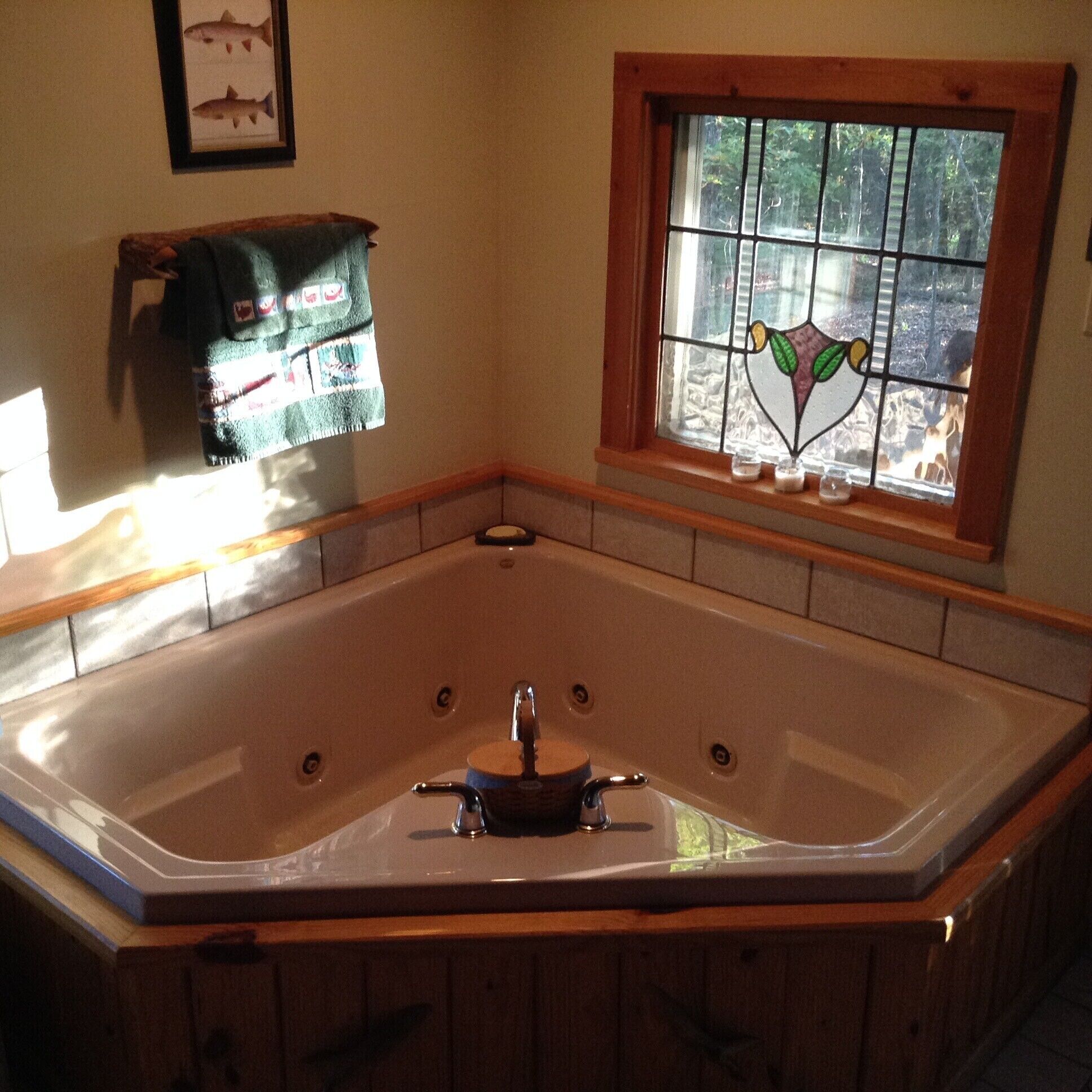 LAKEFRONT  Cabin On 17 Acres