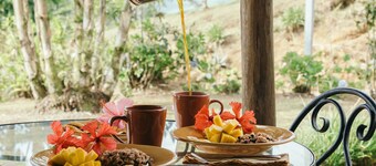 Paradis panoramique, confort de luxe, Vista de Paz