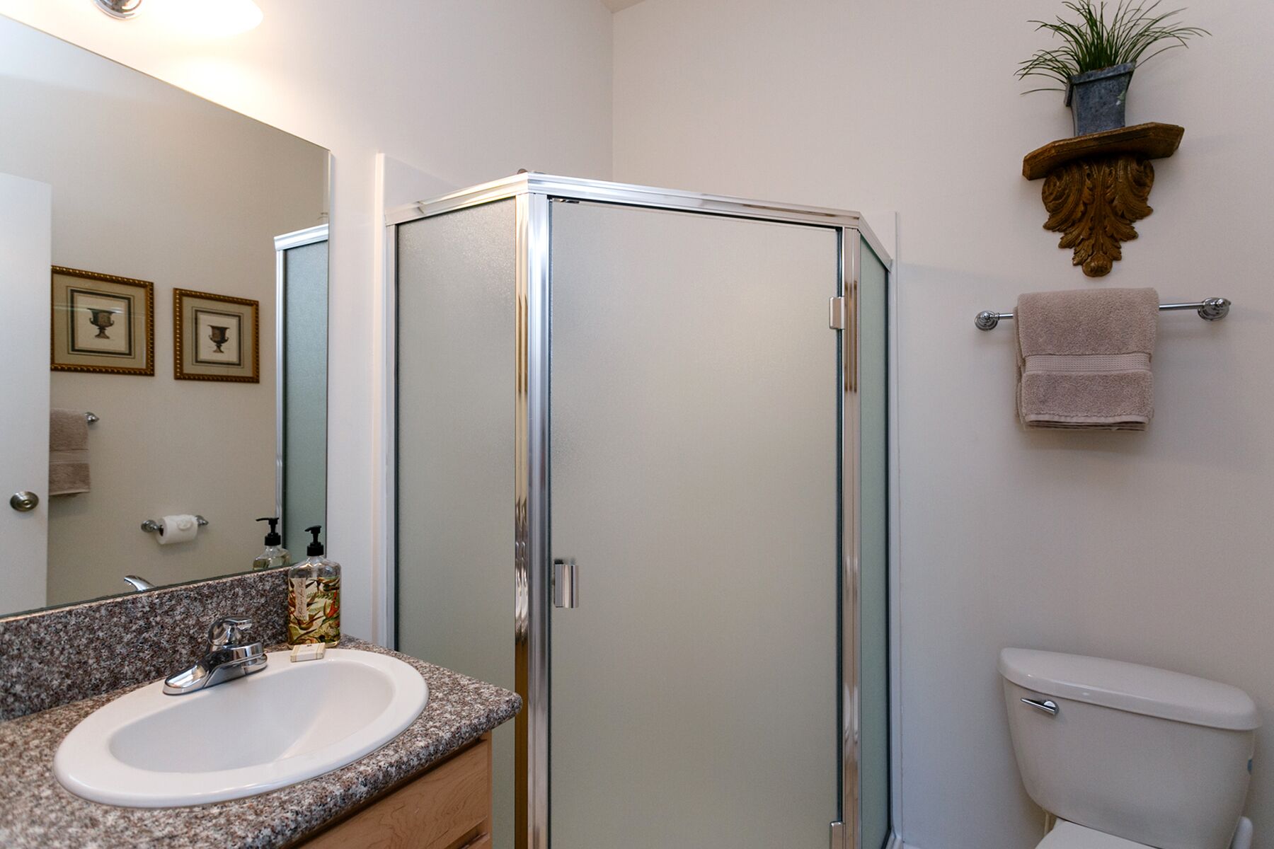 Combined shower/tub, hair dryer, towels