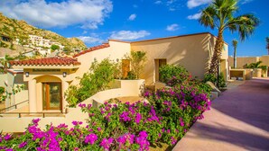 A Mediterranean-style building with a tiled roof, a palm tree, and vibrant purple flowers.