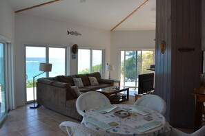 TV, books, video library