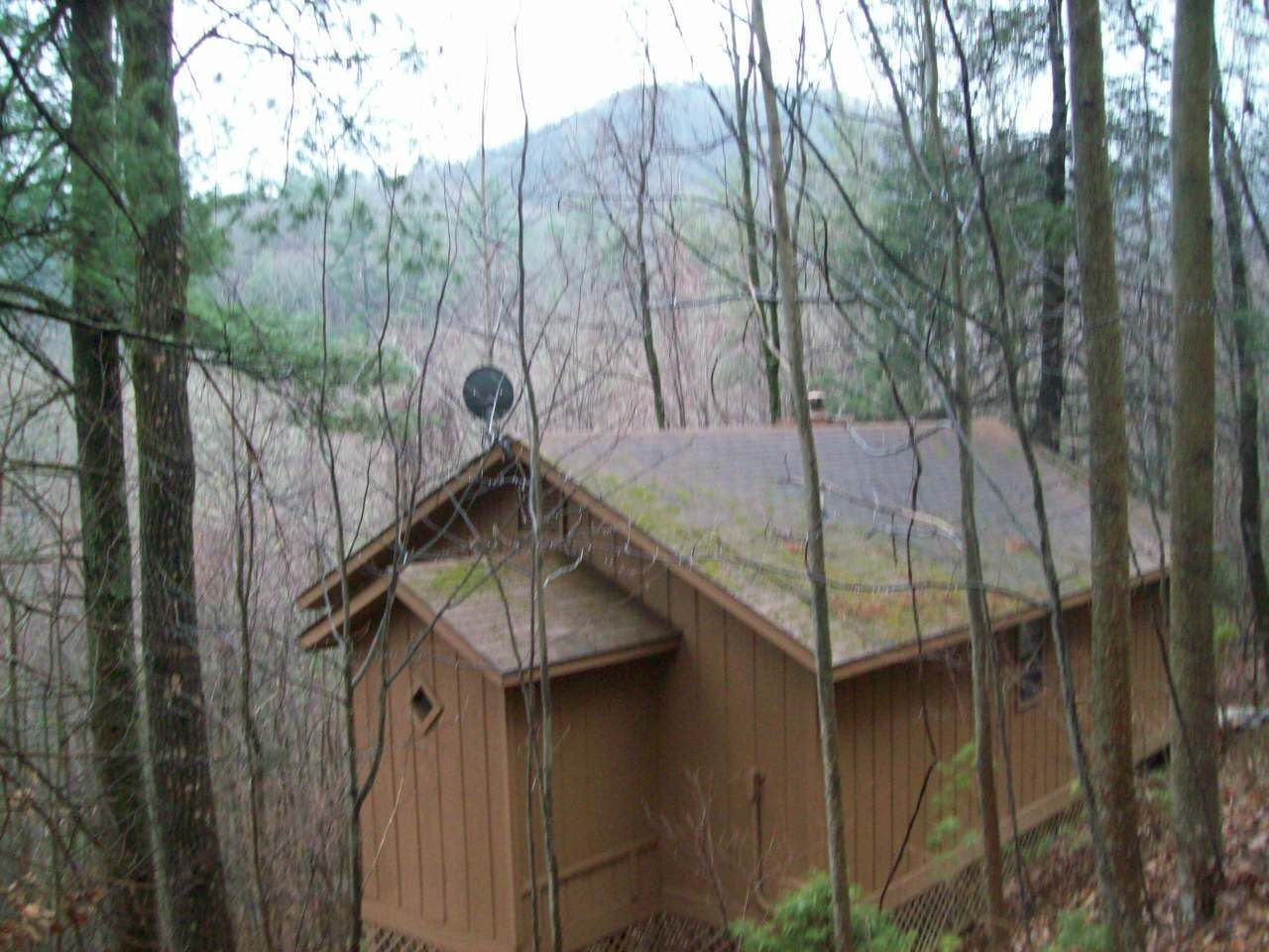 Helton Falls Lodge-Bear Getaway