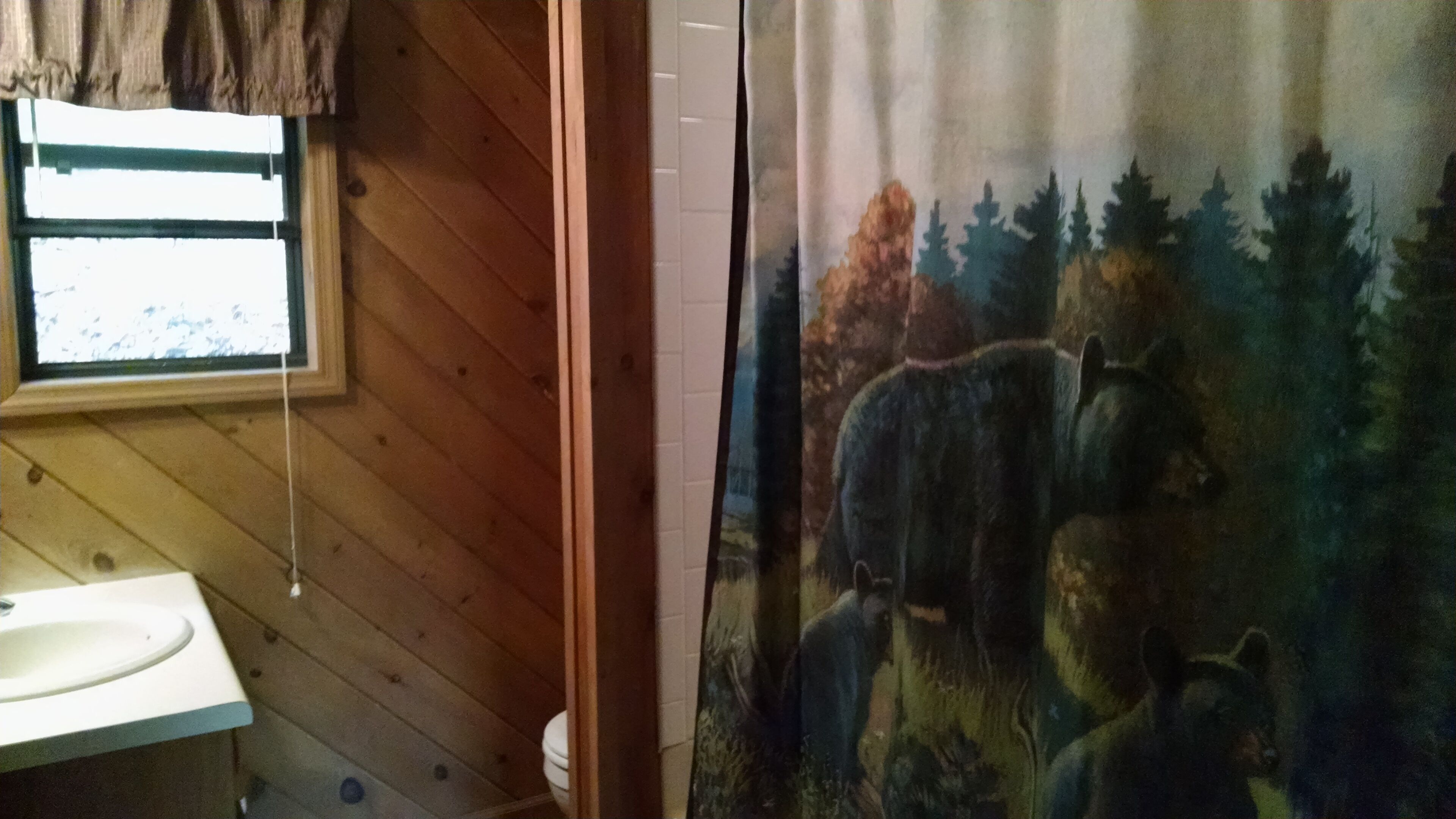 Helton Falls Lodge-Bear Getaway