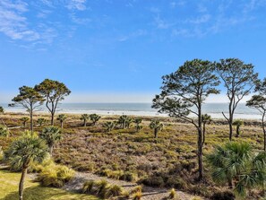 A coastal landscape with trees and shrubs, a clear sky, and a beach in the distance.