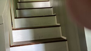 Una escalera con peldaños blancos y barandillas de madera oscura, que conduce a una puerta con pared verde claro.
