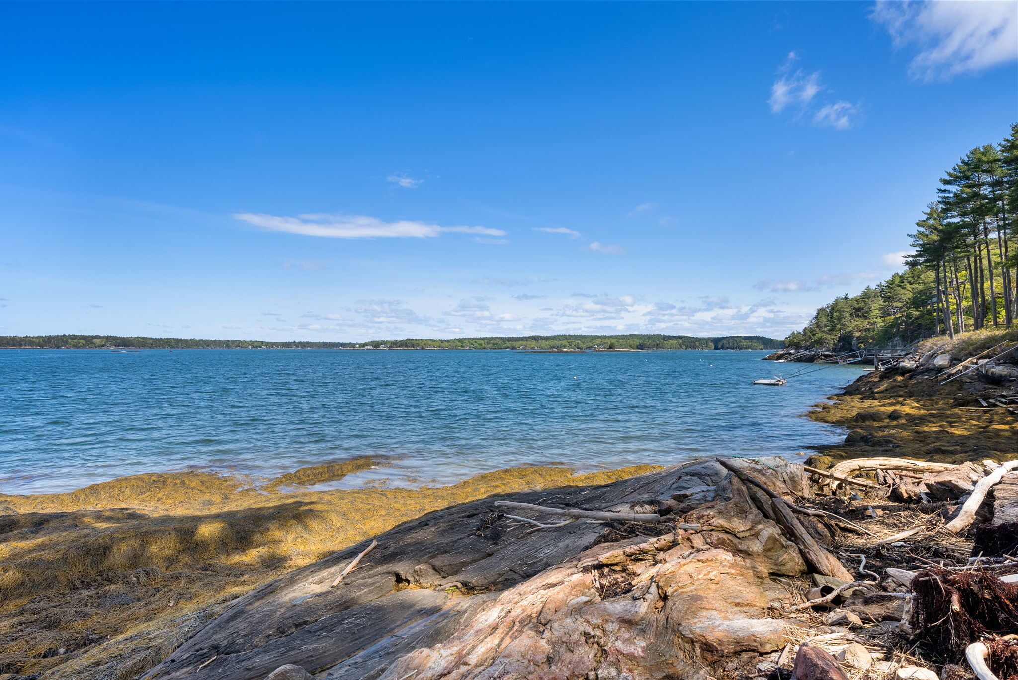 Un rivage rocheux, avec une eau claire et des arbres qui se dessinent à l’horizon.
