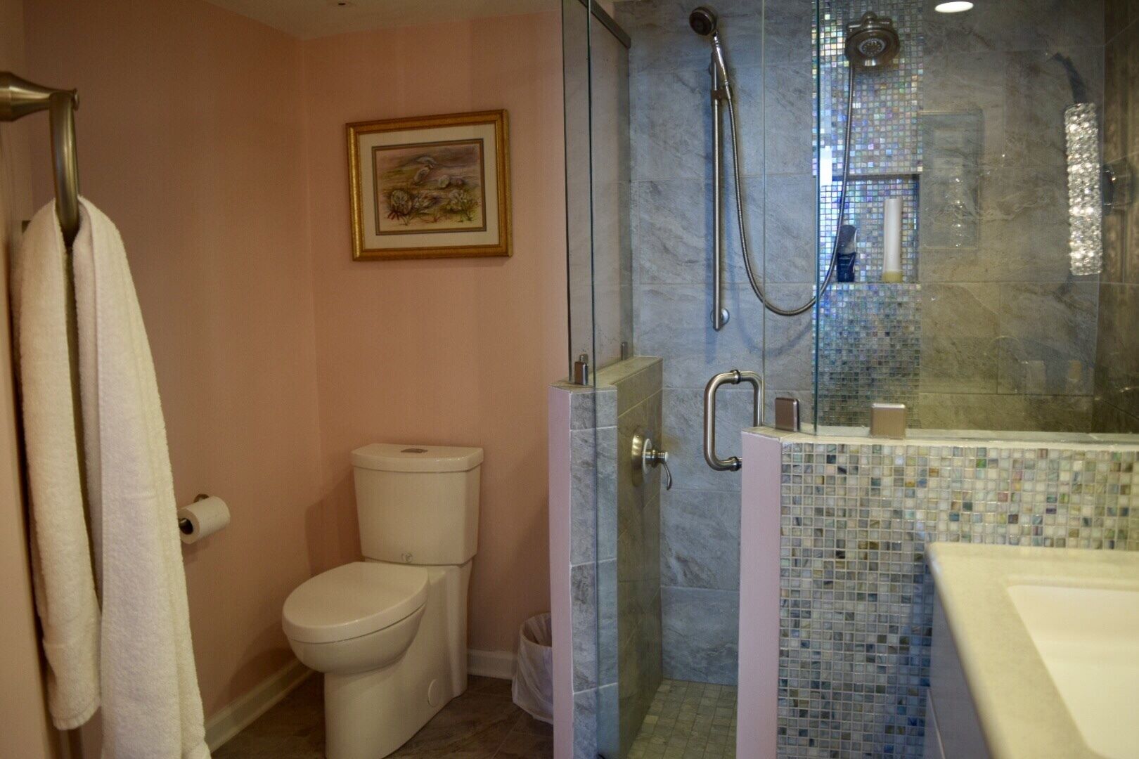 A bathroom with a toilet, a shower with a glass door, and a tiled sink area.