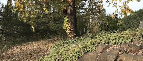 Terrain de lâhĂ©bergement