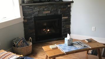 TV, fireplace, DVD player, books