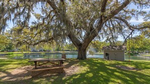 A picnic area with a table and benches under a large tree with hanging moss, a small shed, and a body of water in the background. - YOUR ISLAND DESTINATION IS WAITING! (Saint Simons Island)