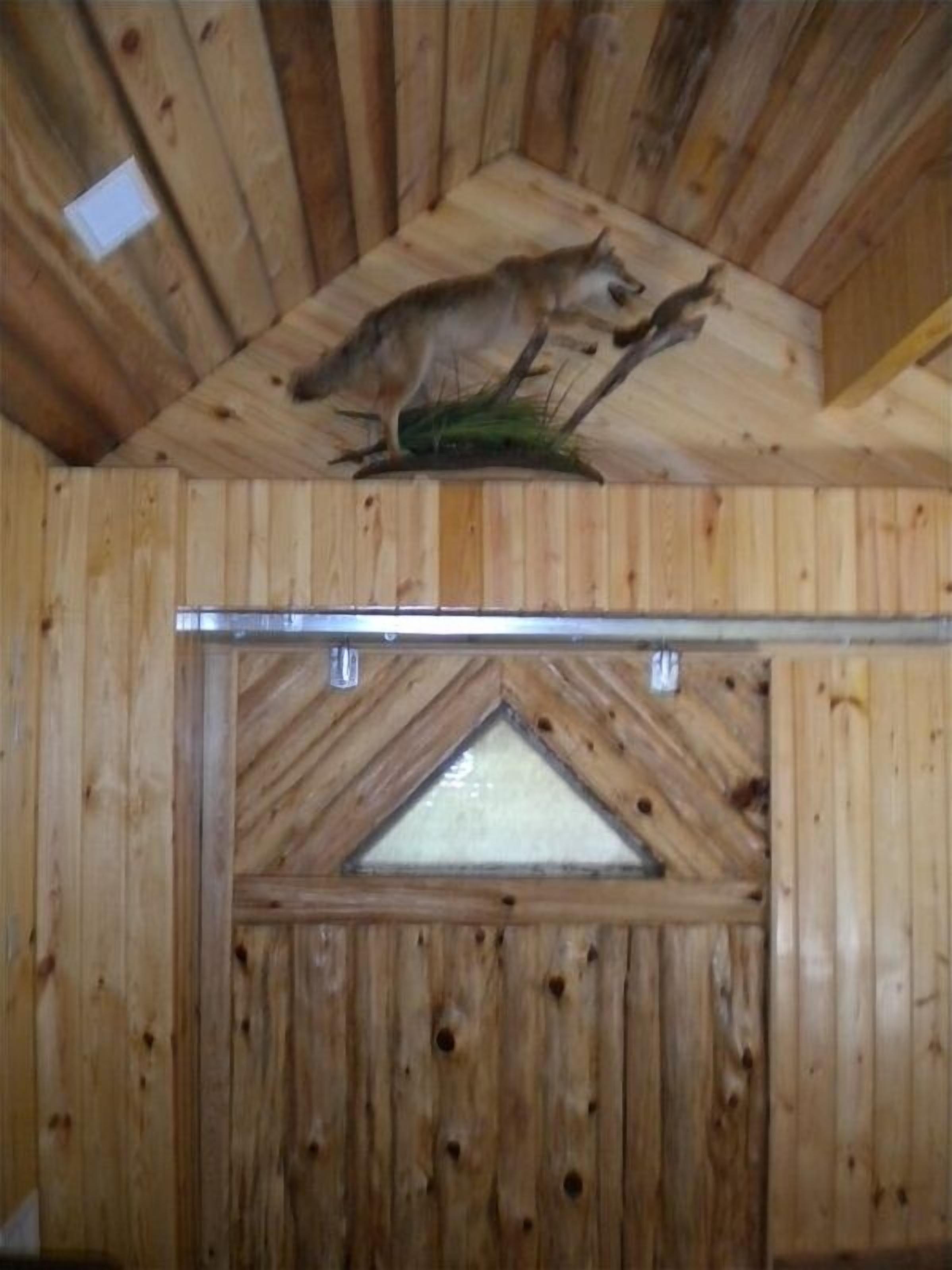 Ein Holzinnenraum mit einem dreieckigen Fenster und einem aufgehängten Tierkopf.