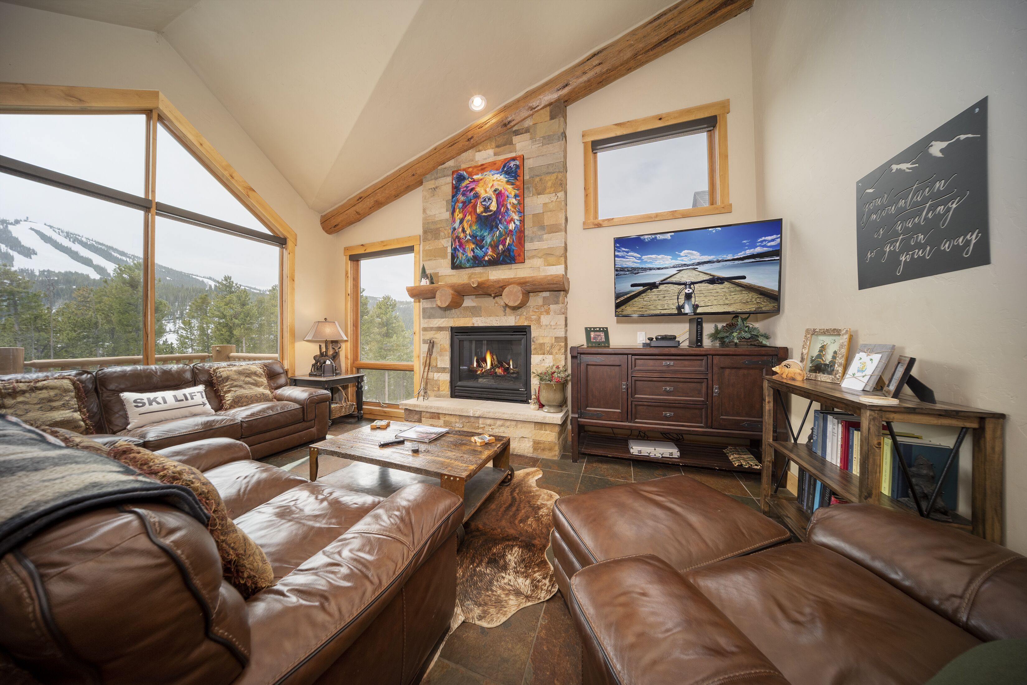 TV connectée, cheminée, livres, médiathèque