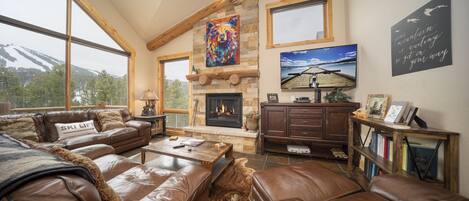 TV connectée, cheminée, livres, médiathèque