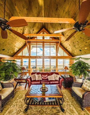 TV, fireplace, video games, DVD player