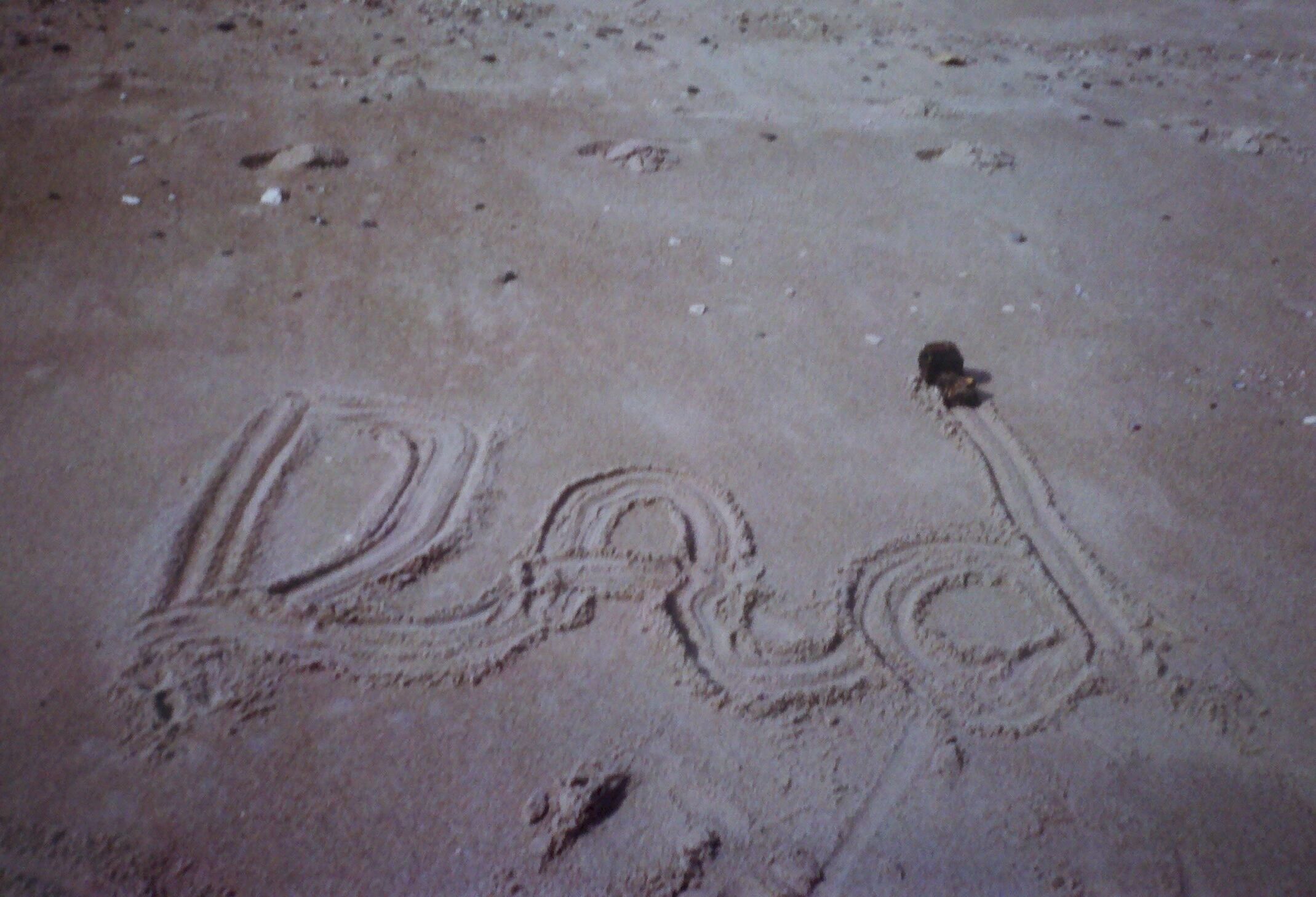 Una playa arenosa con antiguas petroglyfas.