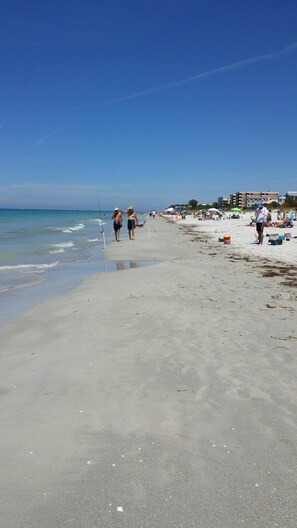 A beach with a clear sky, calm sea, and people walking along the shore. - Fantastic Beachside Cottage<br>Professional Baseball,Football and Hockey,  Golf (Indian Rock Beach)