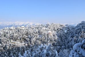 الإطلالة من المنشأة